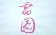【デザインかっこいいTシャツ】RIZE(ライズ/雷図)これ本気でやばいかっこよさ 【デザインかっこいいTシャツ】RIZE(ライズ/雷図)これ本気でやばいかっこよさ